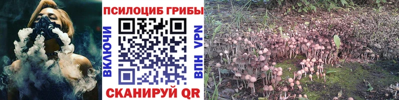 Галлюциногенные грибы прущие грибы Голицыно