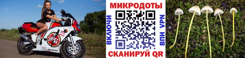 Псилоцибиновые грибы мухоморы  Голицыно 