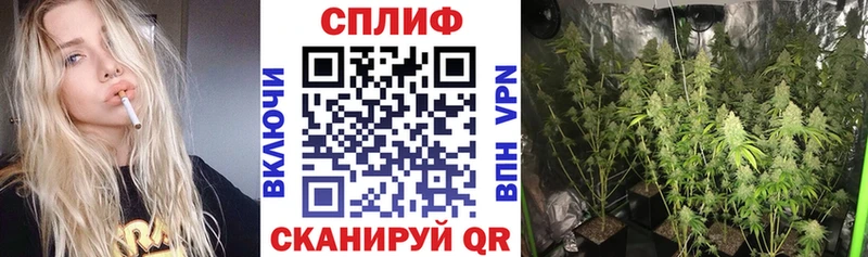 Бошки Шишки THC 21%  Голицыно 